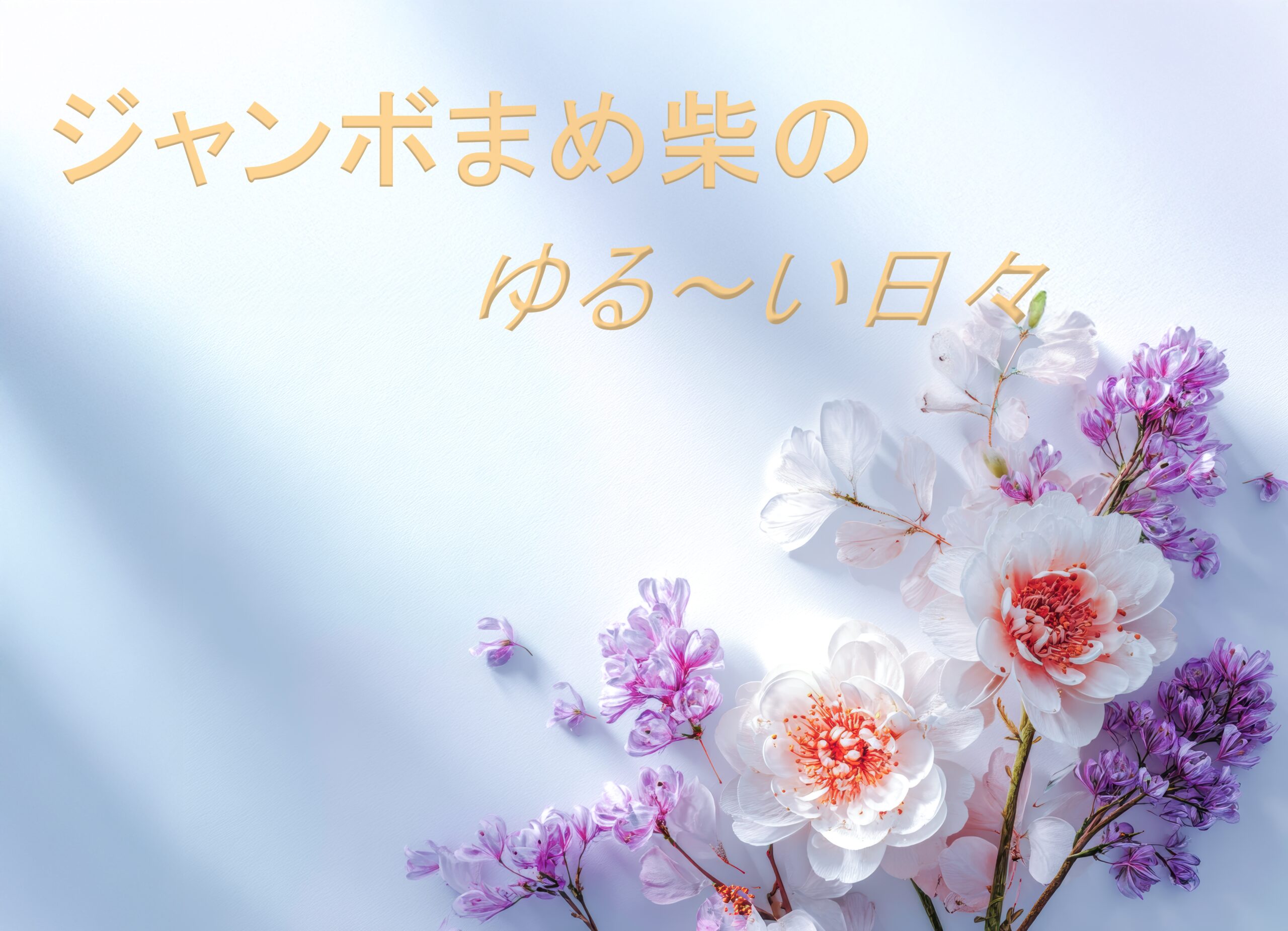 ジャンボまめ柴のゆる～い日々